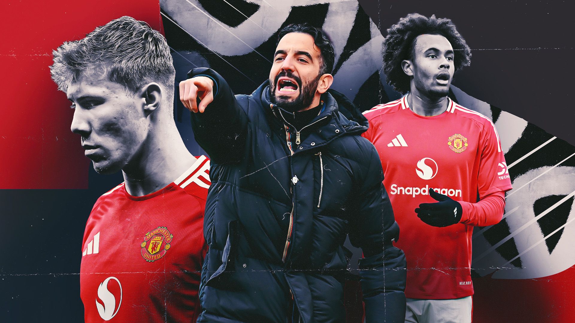 篮球爱好者 篮球爱好者