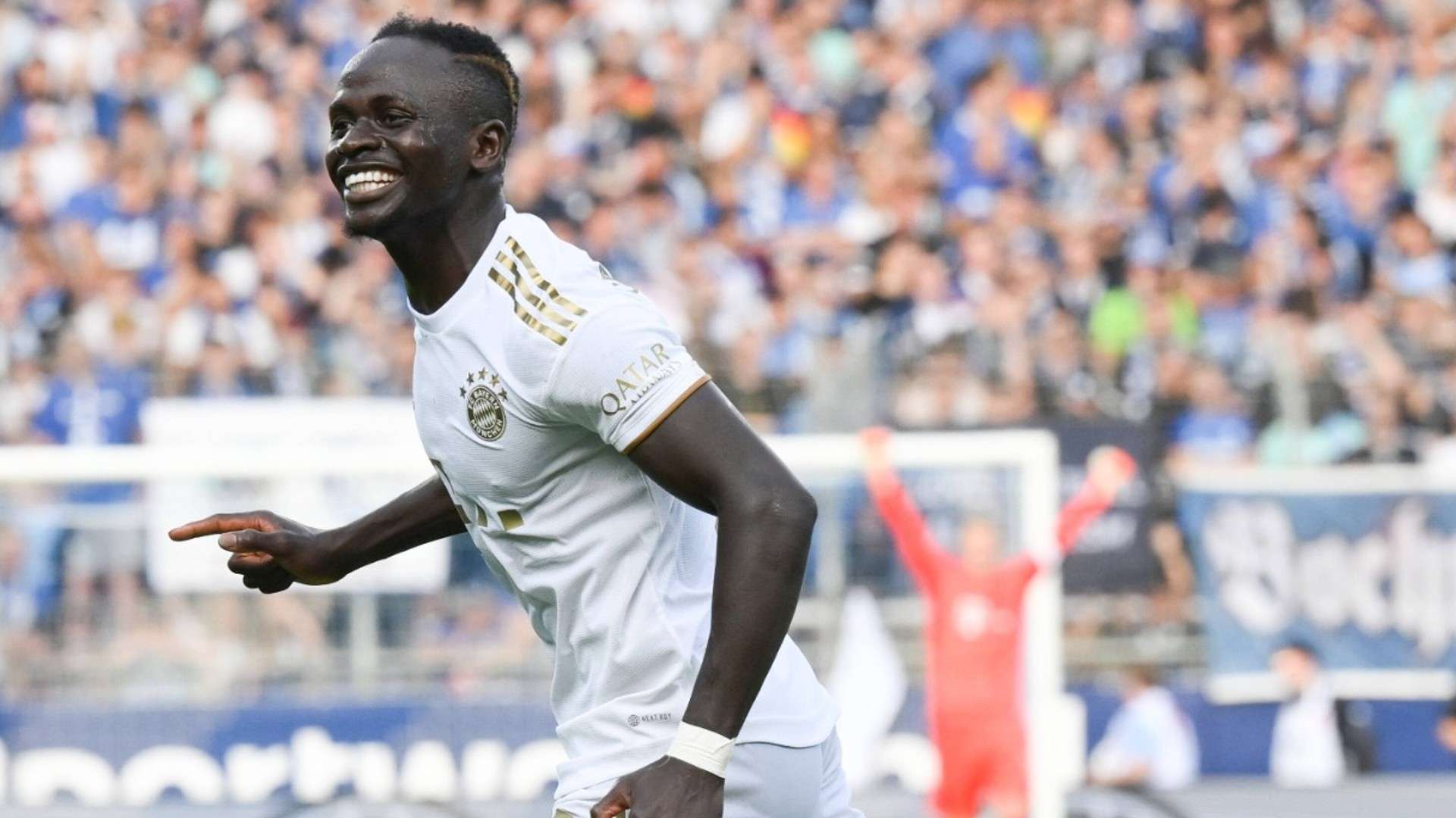 鳥兒的鳴叫 鳥兒的鳴叫